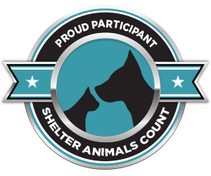 Shelter Animals Count | The National Database